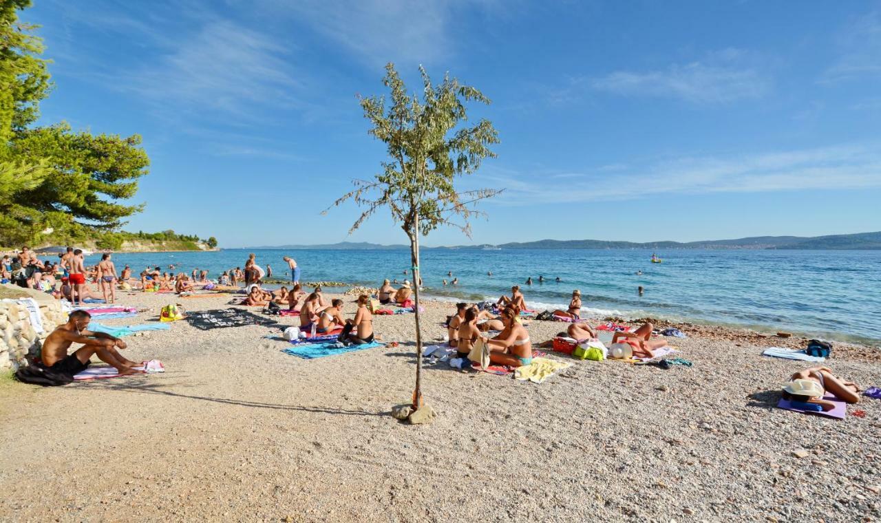 Apartman Olive Garden Zadar Ngoại thất bức ảnh